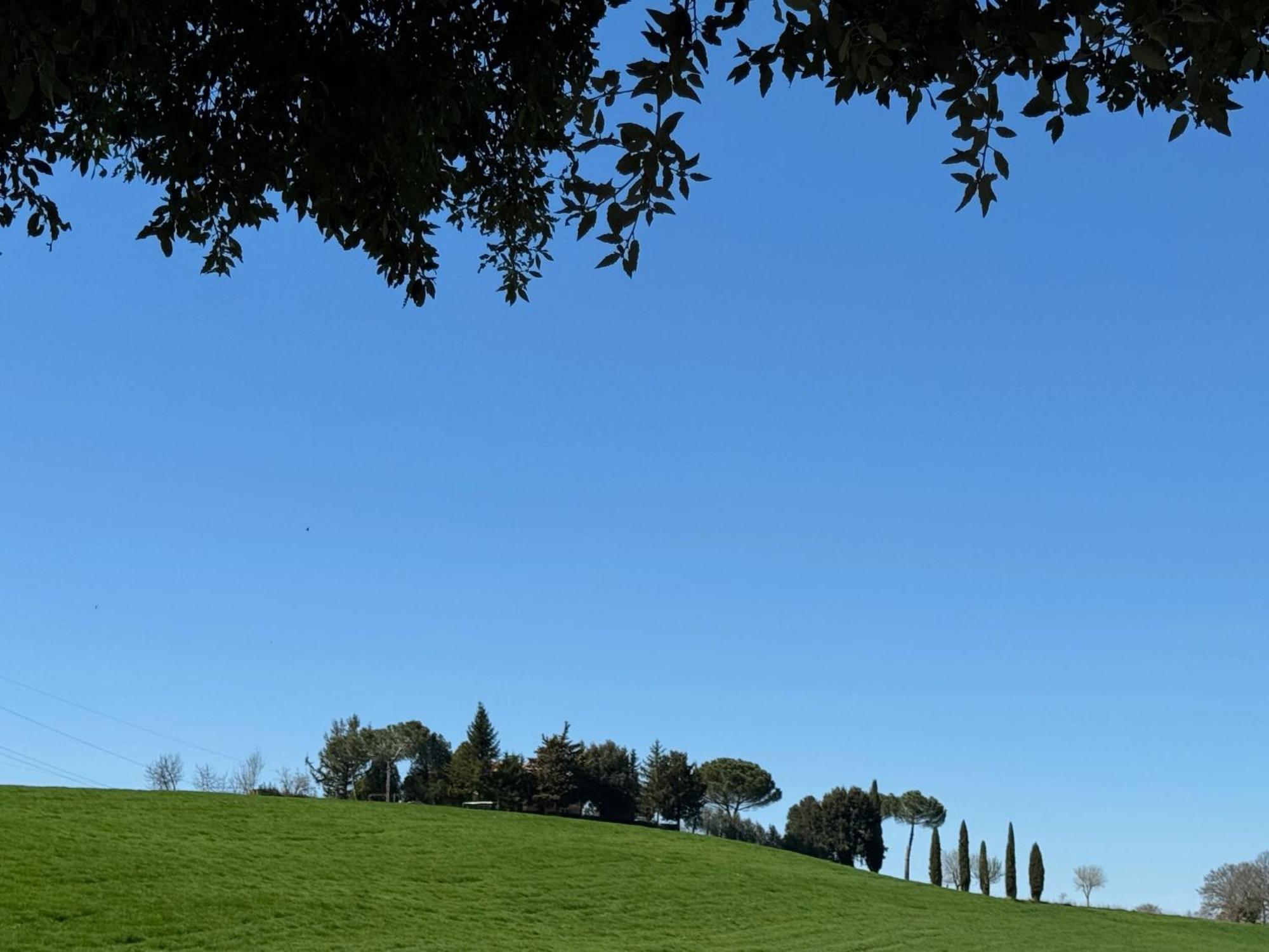 Orvieto Country House Castiglione In Teverina Экстерьер фото