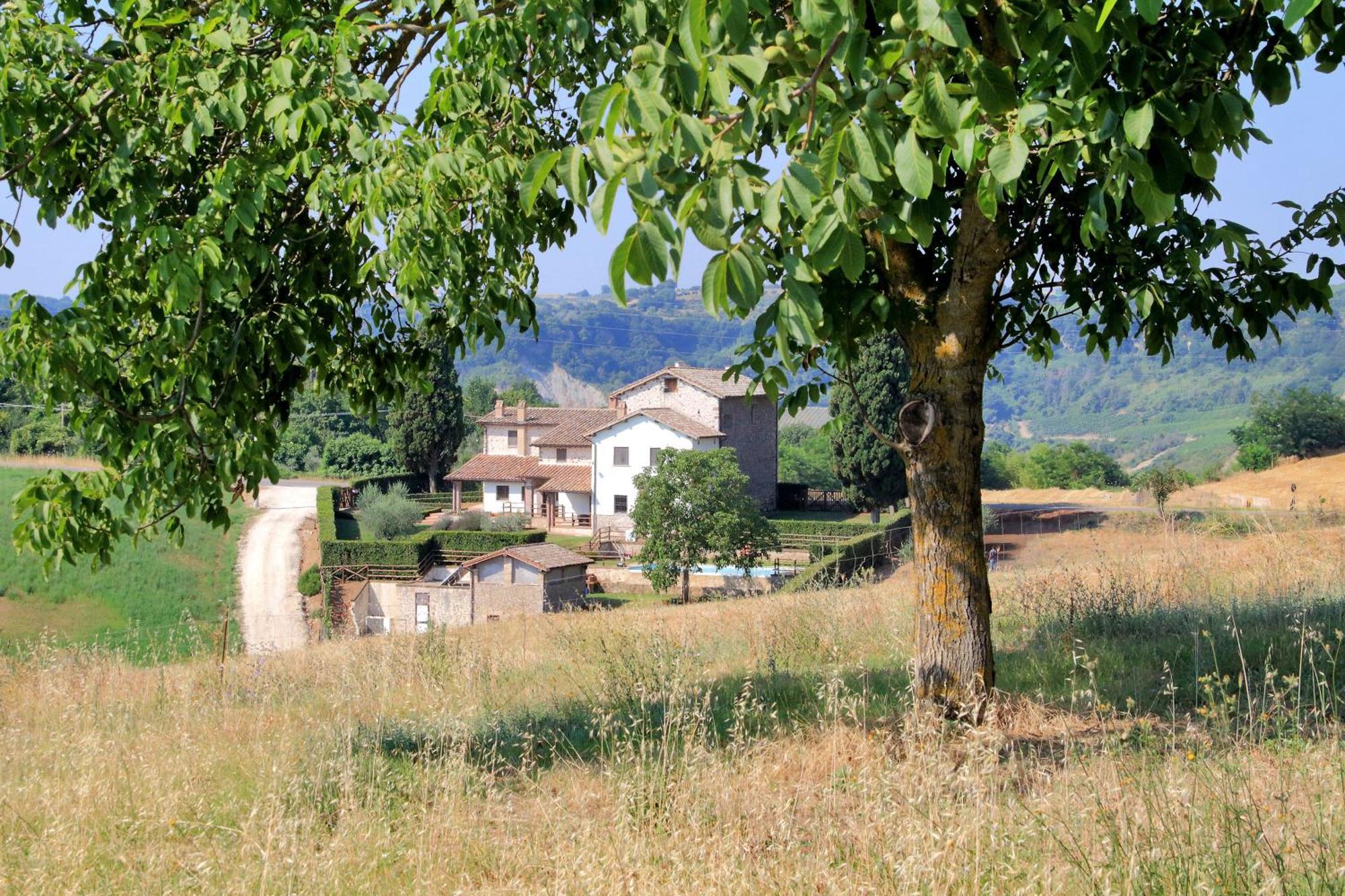Orvieto Country House Castiglione In Teverina Экстерьер фото