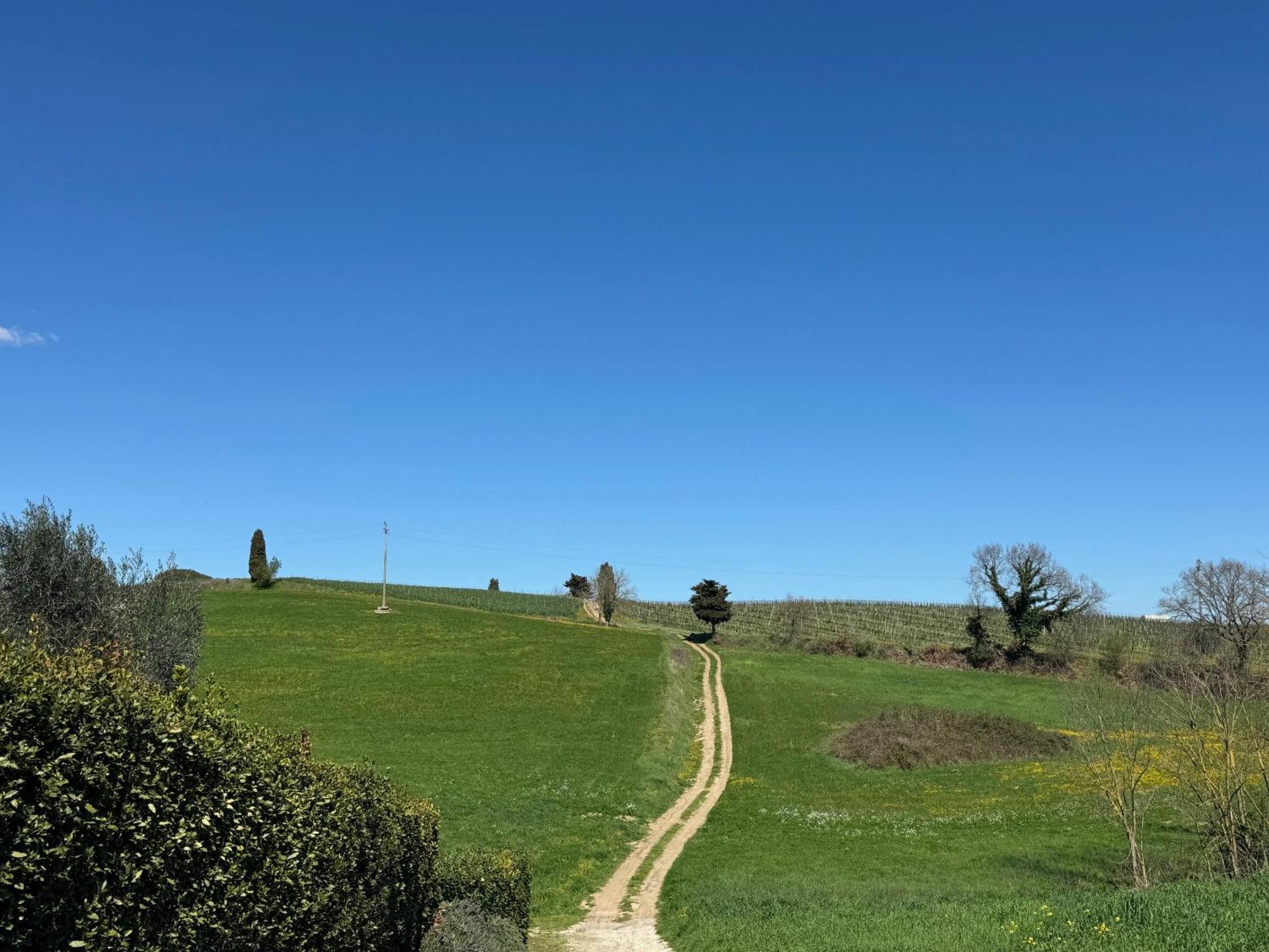 Orvieto Country House Castiglione In Teverina Экстерьер фото