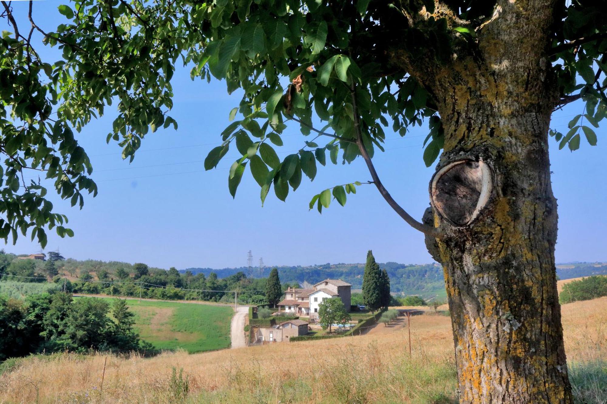 Orvieto Country House Castiglione In Teverina Экстерьер фото