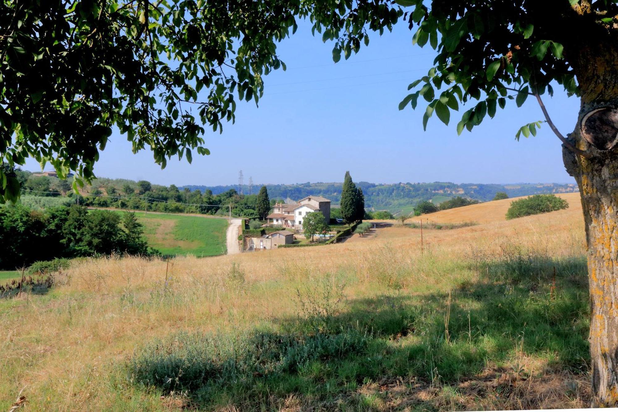 Orvieto Country House Castiglione In Teverina Экстерьер фото