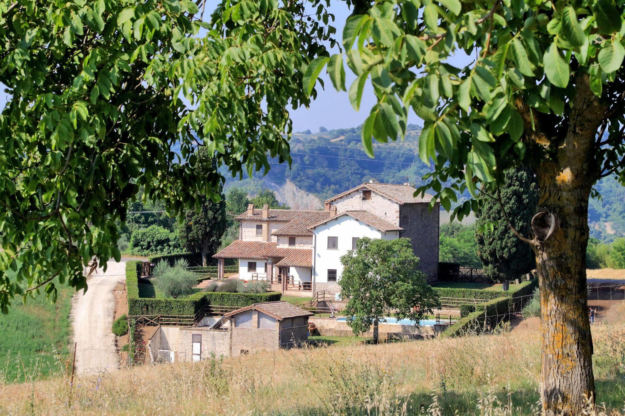 Orvieto Country House Castiglione In Teverina Экстерьер фото