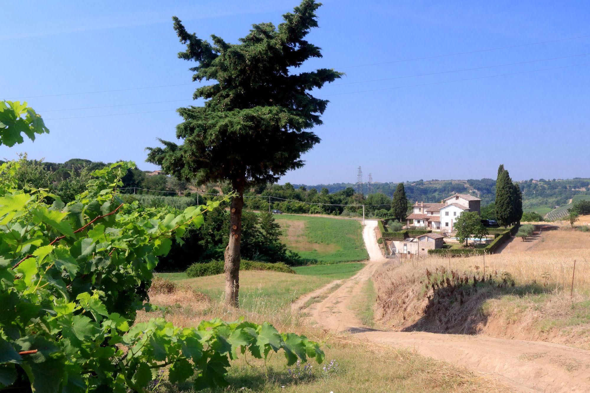 Orvieto Country House Castiglione In Teverina Экстерьер фото